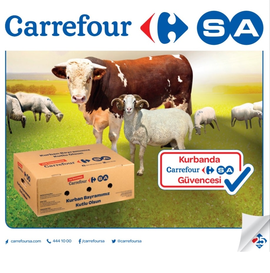 carrefoursa-logo